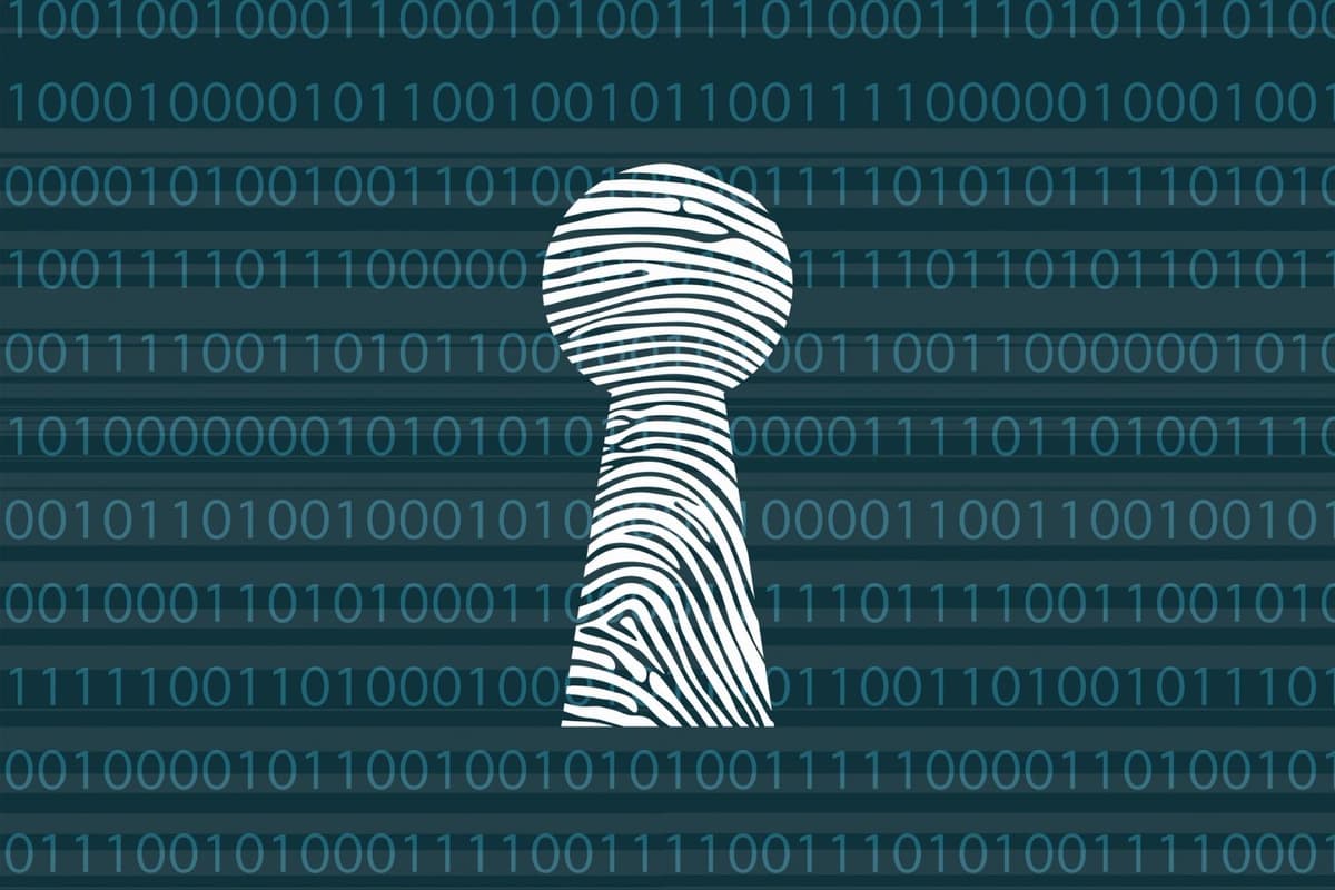 A questão não é se haverá privacidade, mas que tipo de privacidade será construída
