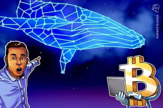 Baleias do Bitcoin começam a acumular novamente a $71K, aponta Santiment