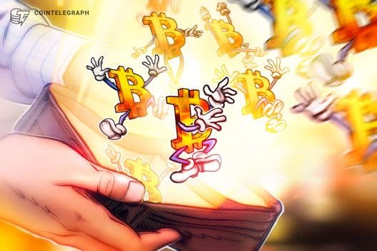 Carteiras de Bitcoin acumulam 4,37 milhões de BTC enquanto atividade da rede indica fase de alta