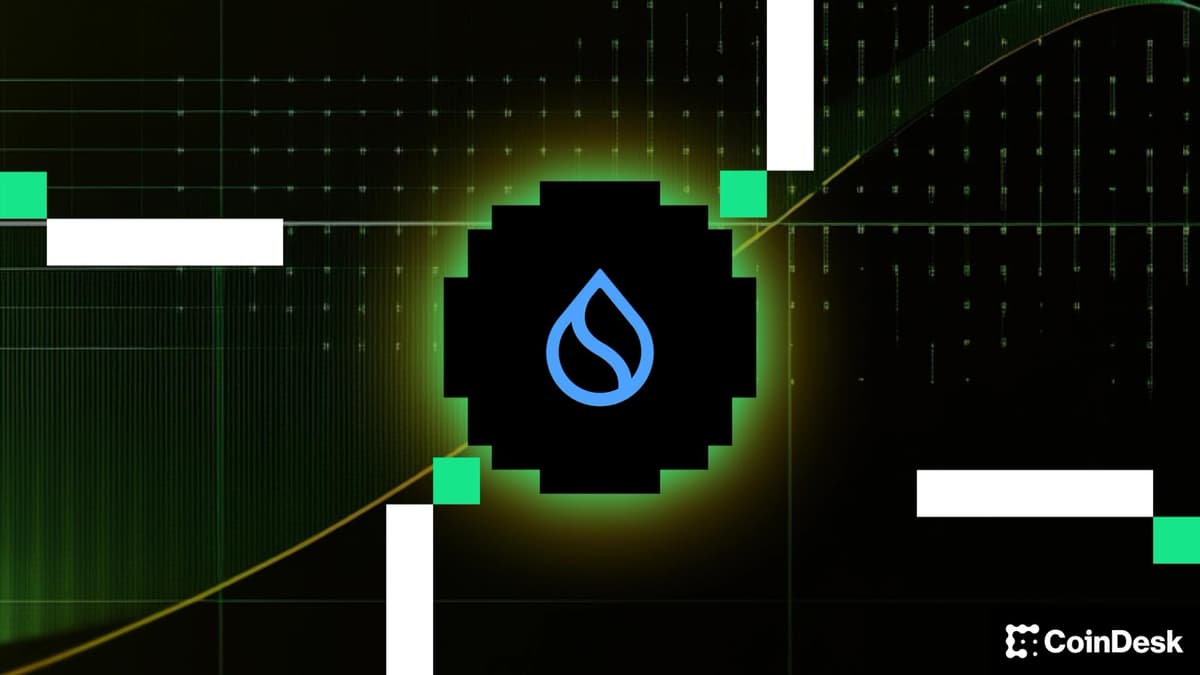 Sui Group redefine sua abordagem para tesourarias cripto com stablecoins e DeFi