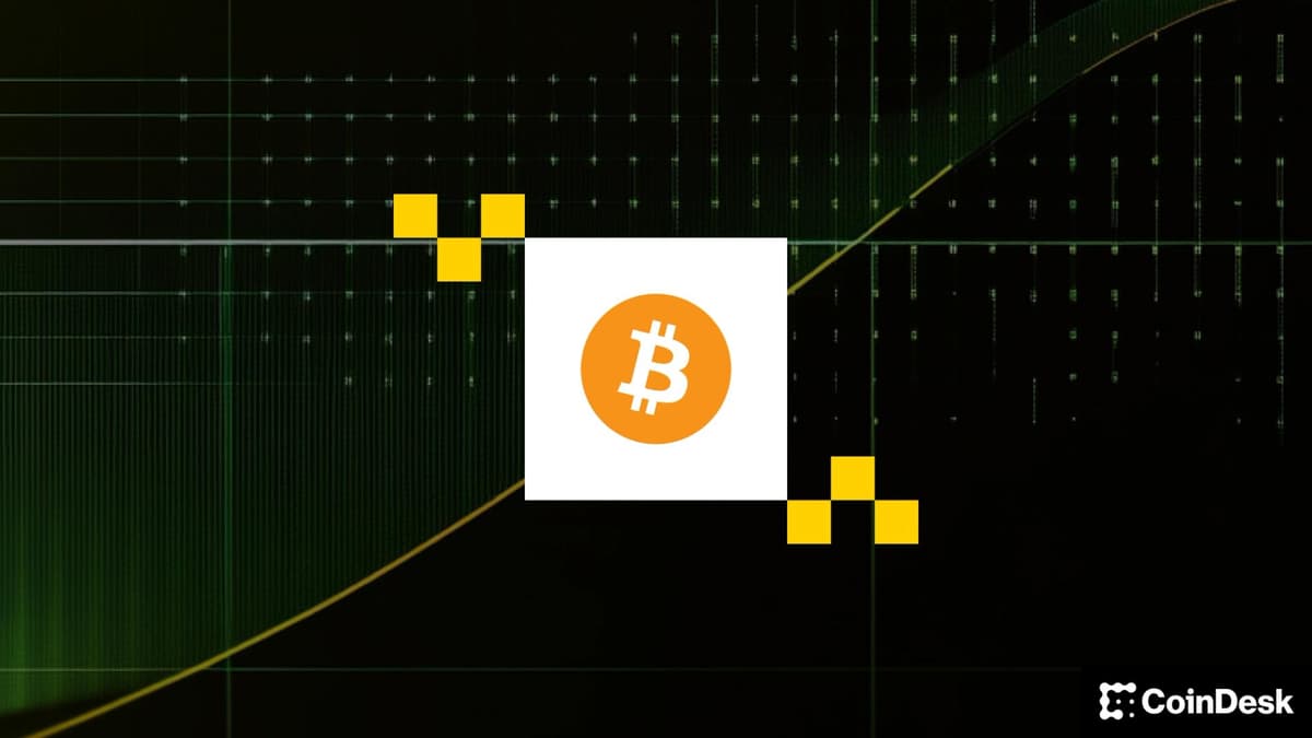Bitcoin se valoriza, mas ainda está 'significativamente subavaliado', afirma a Bitwise. 'Medo extremo' domina o mercado.