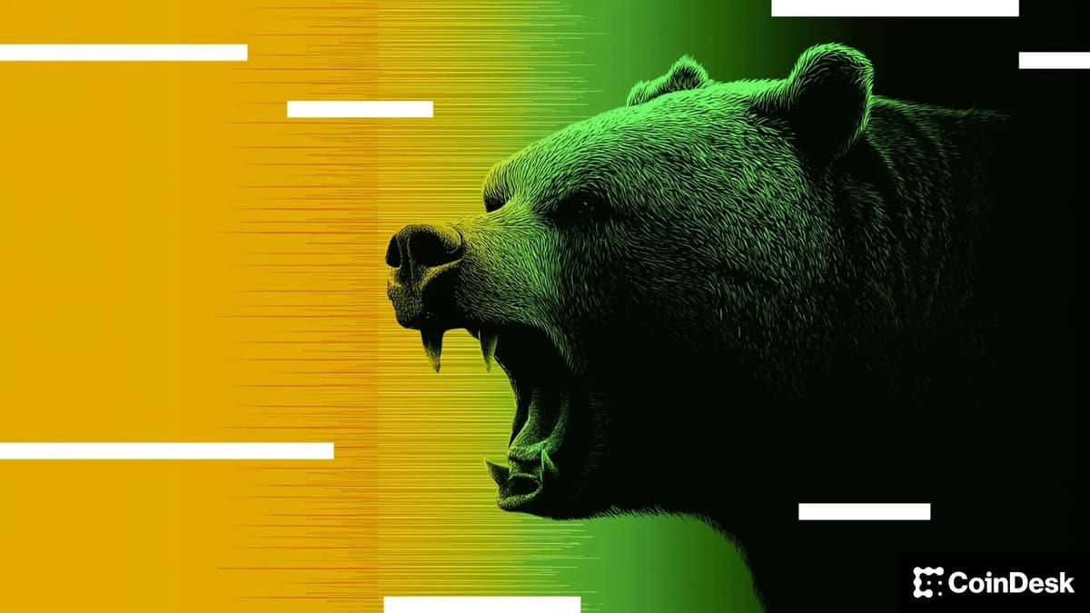 Mercados de criptomoedas perdem US$ 290 bilhões antes de bitcoin se estabilizar