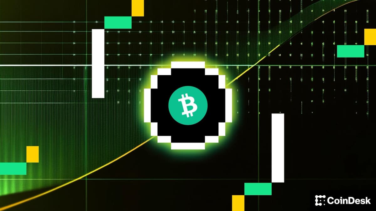 Bitcoin e principais criptomoedas caem com traders buscando proteção contra perdas