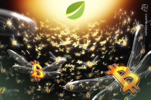 Longs de Bitcoin na Bitfinex atingem maior nível em dois anos: uma alta a $100K é possível?