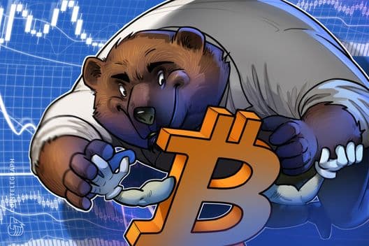 Co-fundador da Chainlink aponta duas razões para a singularidade deste mercado em baixa